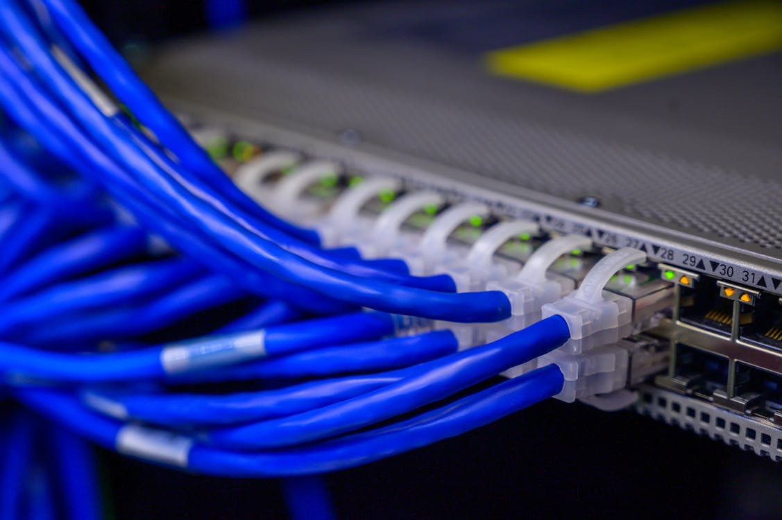 IT and Network Services